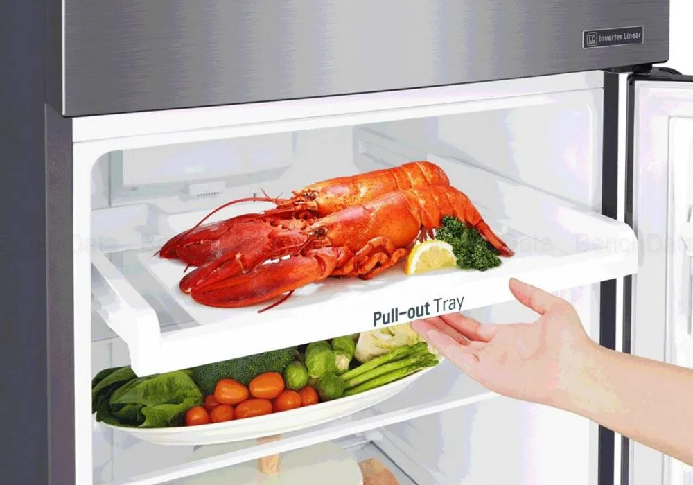 Réfrigérateur 2 Portes LG (GT5525PS) – Image 6